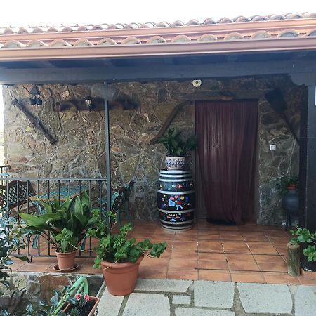Casa Rural Los Olivos Sotoserrano Dış mekan fotoğraf