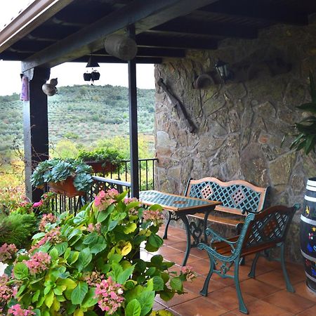 Casa Rural Los Olivos Sotoserrano Dış mekan fotoğraf