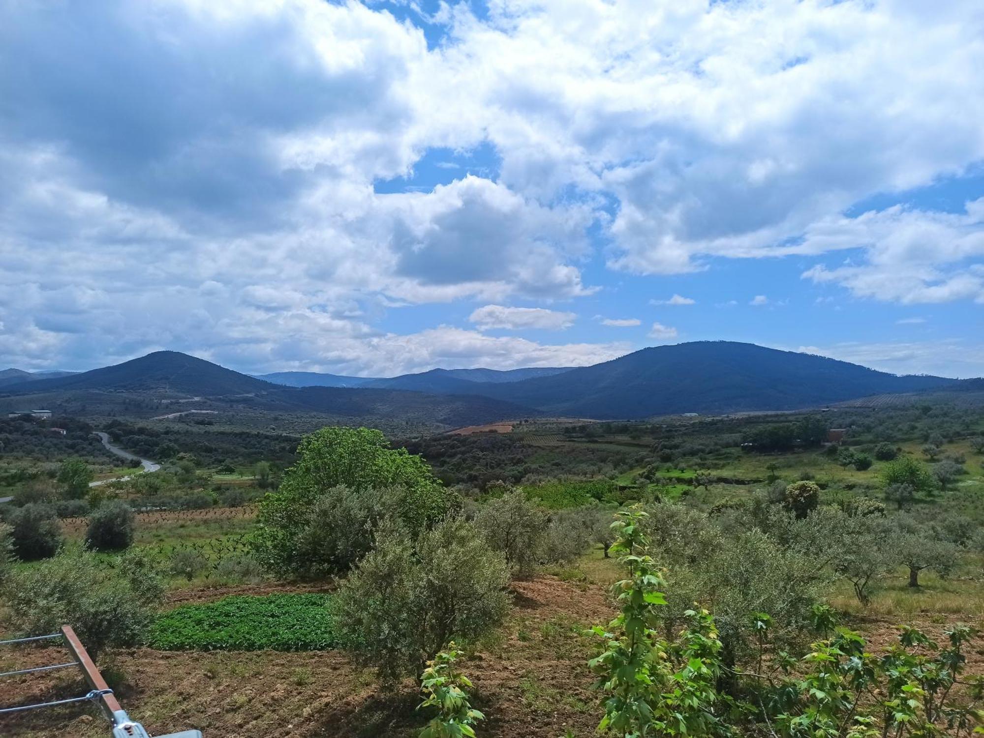 Casa Rural Los Olivos Sotoserrano Dış mekan fotoğraf