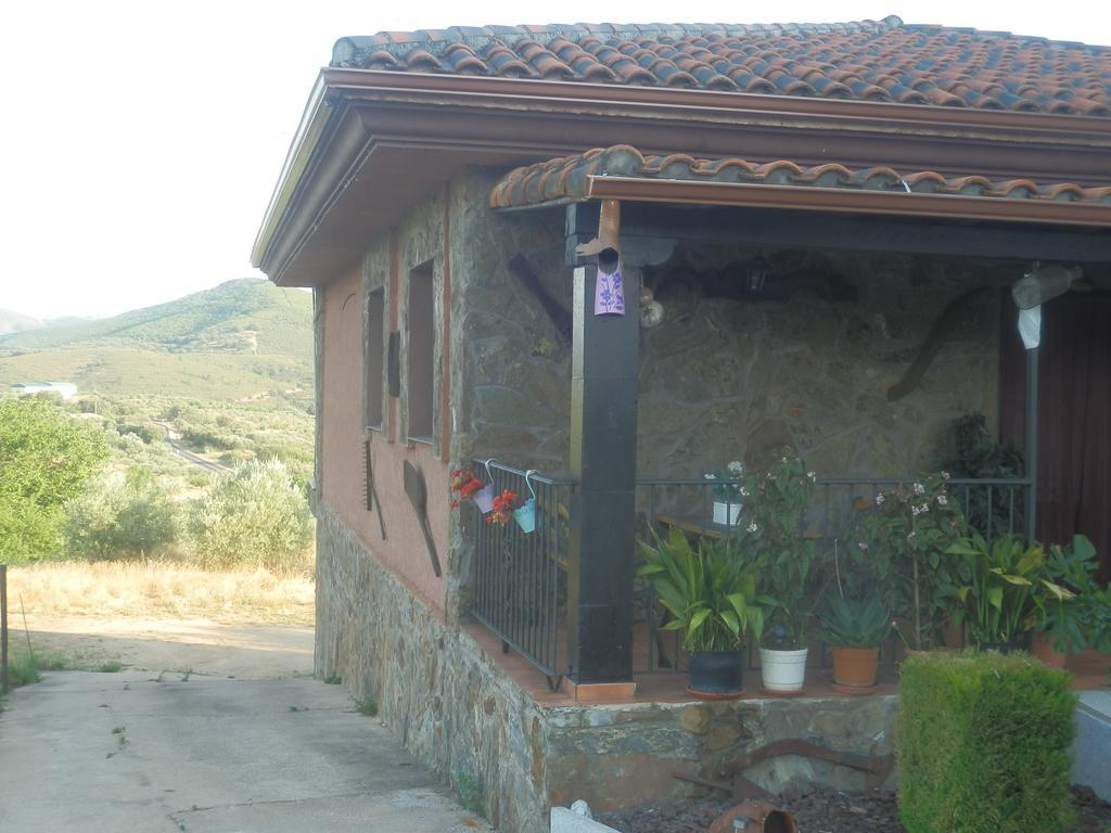 Casa Rural Los Olivos Sotoserrano Dış mekan fotoğraf